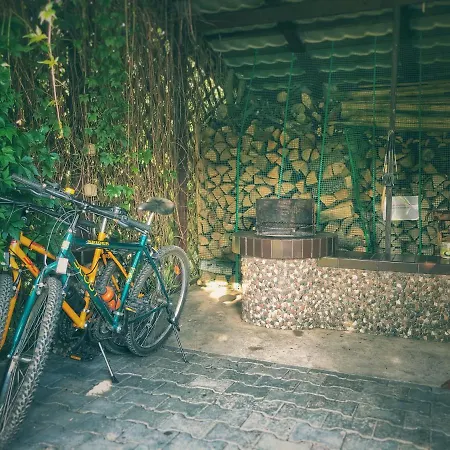 Zielona Sielanka Holiday home *