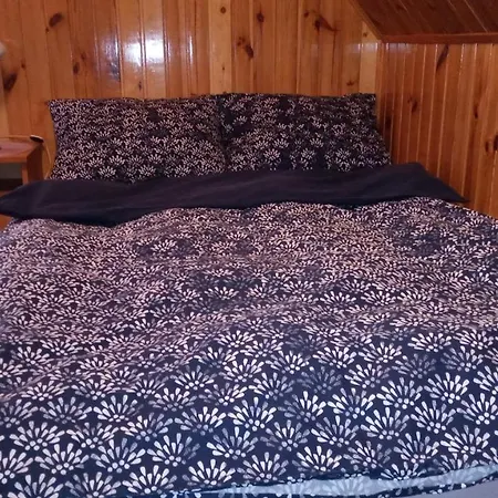 Zielona Sielanka Holiday home *